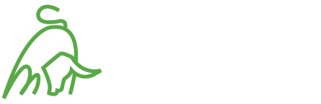 Toro Verde